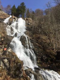 Scenic view of waterfall in forest