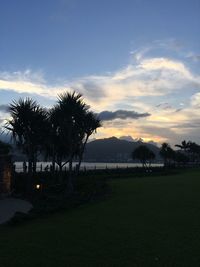 Palm trees on field against sky at sunset