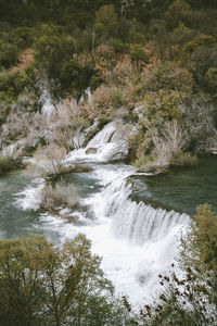 Scenic view of waterfall in forest