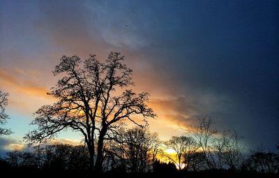 Silhouette tree against sky during sunset