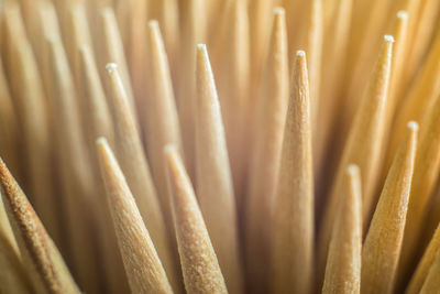 Full frame shot of toothpicks