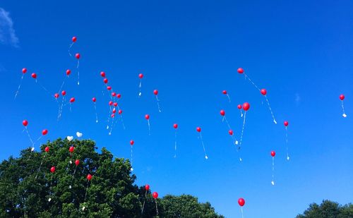 Low angle view of trees against blue sky