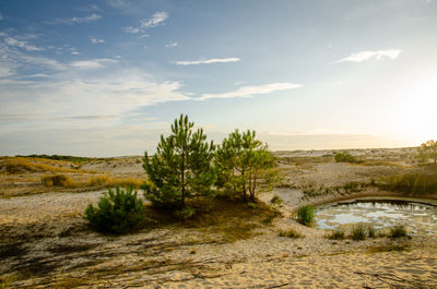 Scenic view of landscape against sky