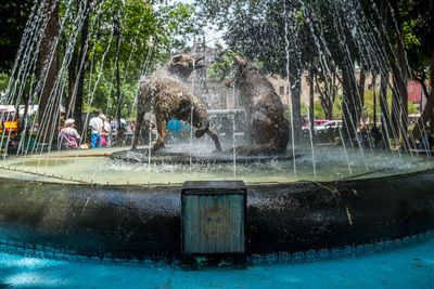 Fountain in park