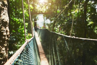 Footbridge over trees in forest