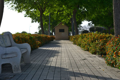 Footpath amidst houses and trees against sky
