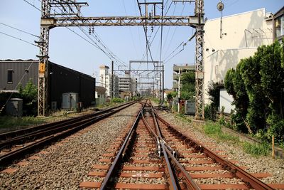 View of railroad tracks along plants