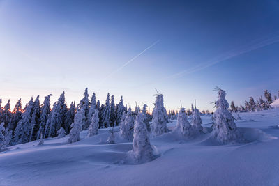 Panoramic view of snow covered field against sky during winter