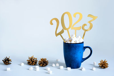 Close-up of potted plant against white background