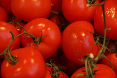 Full frame shot of tomatoes