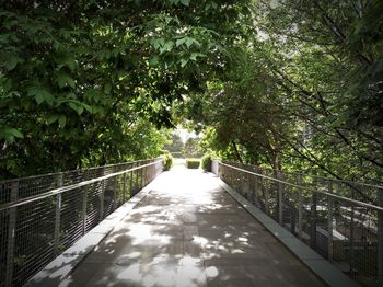 Footbridge amidst trees in forest