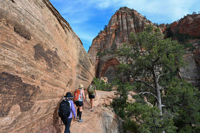 Rear view of man walking on mountain