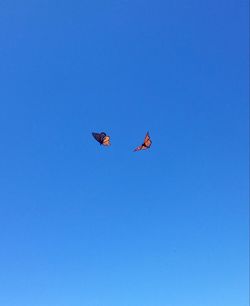 Low angle view of eagle flying against clear blue sky