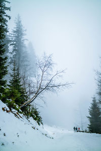 Scenic view of snow covered mountains against sky