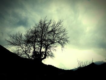 Low angle view of silhouette tree against sky