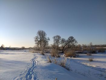 Trees on snow covered field against clear sky