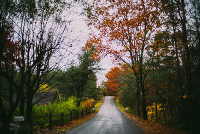 Winding country road in autumn, leaves leaf fall colors moody upstate spooky halloween haunted roads
