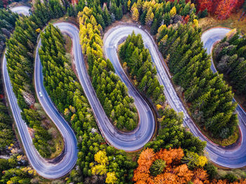 High angle view of road amidst trees in city