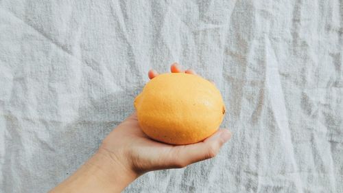 Close-up of hand holding orange