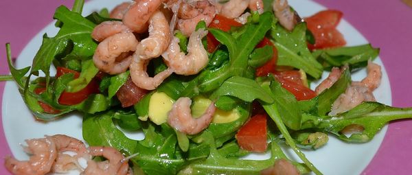 Close-up of meal