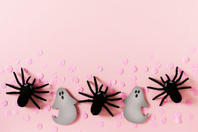 Close-up of spider on pink background