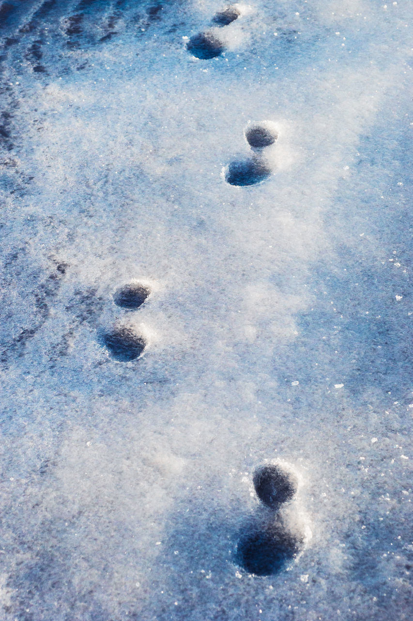 CLOSE-UP OF SNOW ON BLUE SURFACE