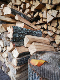 High angle view of stack of logs in forest