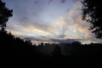 Low angle view of silhouette trees against sky during sunset