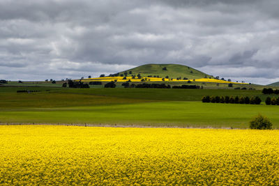 Scenic view of agricultural field against cloudy sky