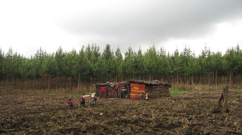 Men working on agricultural field against sky