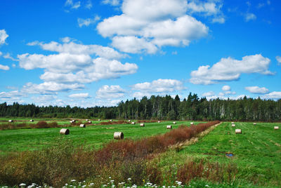 Hay bales on field against sky