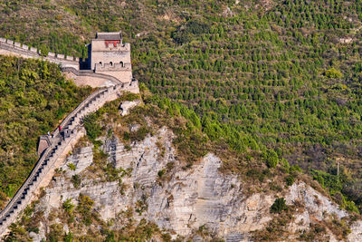 High angle view of road amidst plants