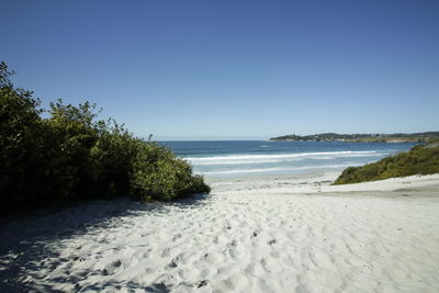 Scenic view of beach against clear sky