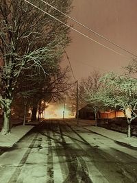 Road passing through bare trees