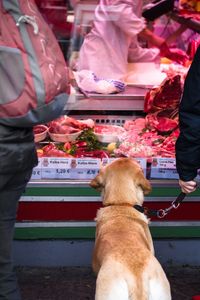 Cropped image of person with dog at butcher shop