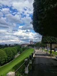 Footpath in park against sky