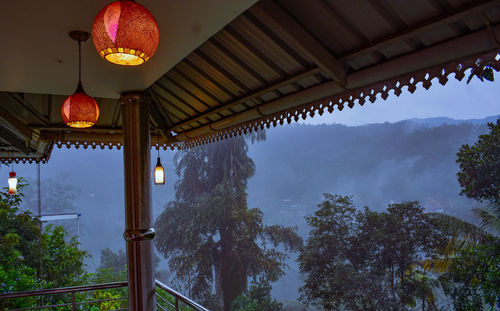 Low angle view of illuminated lantern hanging by trees against sky