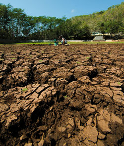 Woman on field by trees against sky