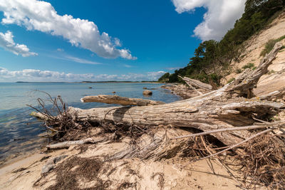 Scenic view of beach against sky