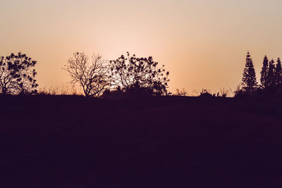 Silhouette trees on landscape against clear sky during sunset