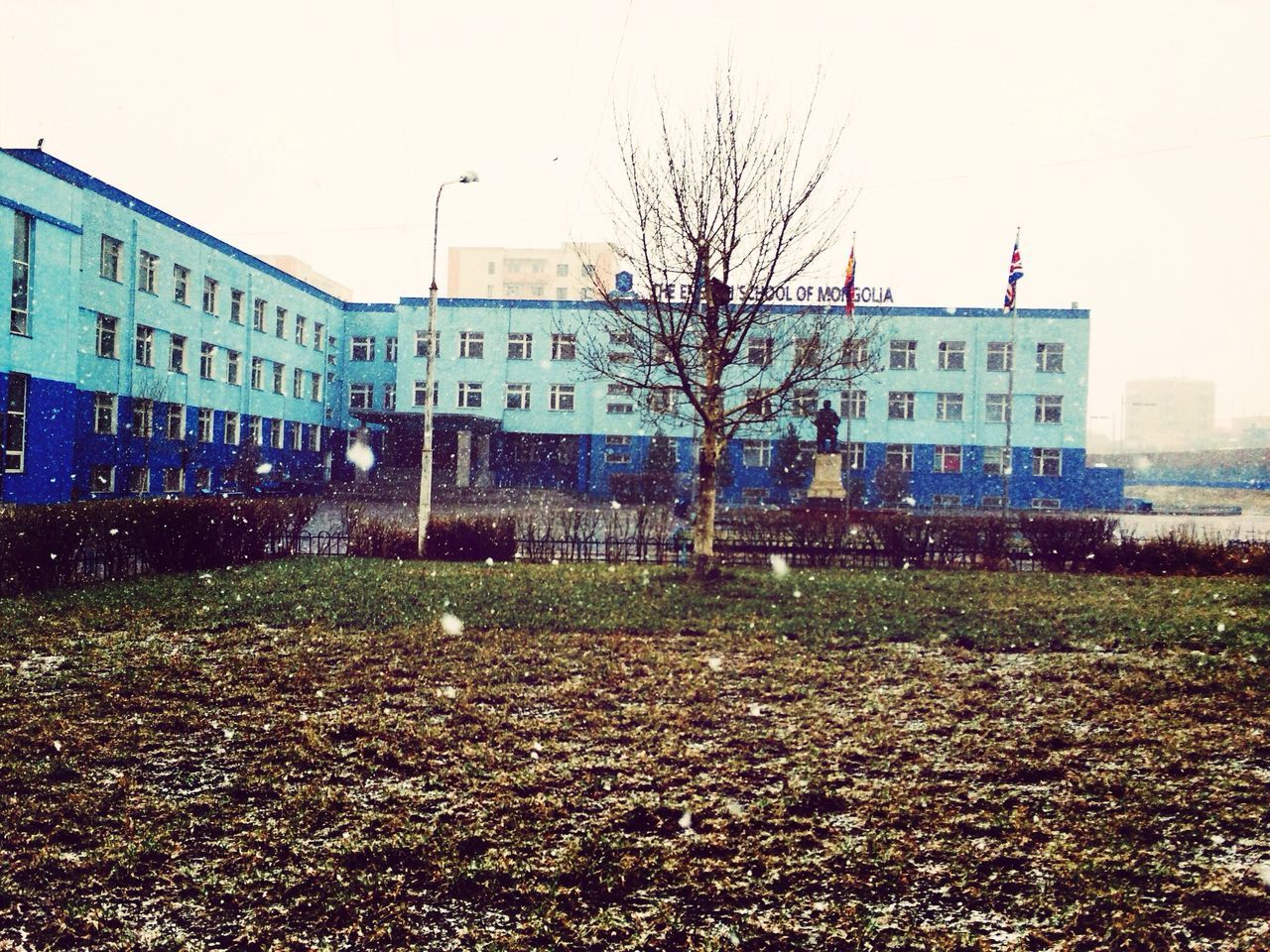 English School Of Mongolia