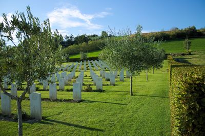 Trees in cemetery against sky