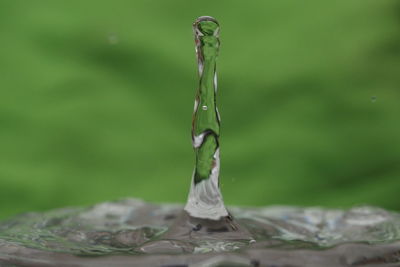 Close-up of water drop falling on plant