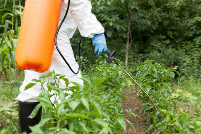 Midsection of man spraying on plants in garden