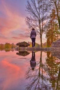 Reflection of trees in river