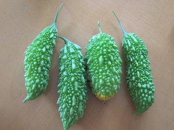 Close-up of vegetables hanging on plant