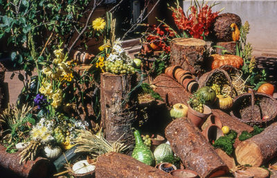 High angle view of logs with fruits and vegetable in yard
