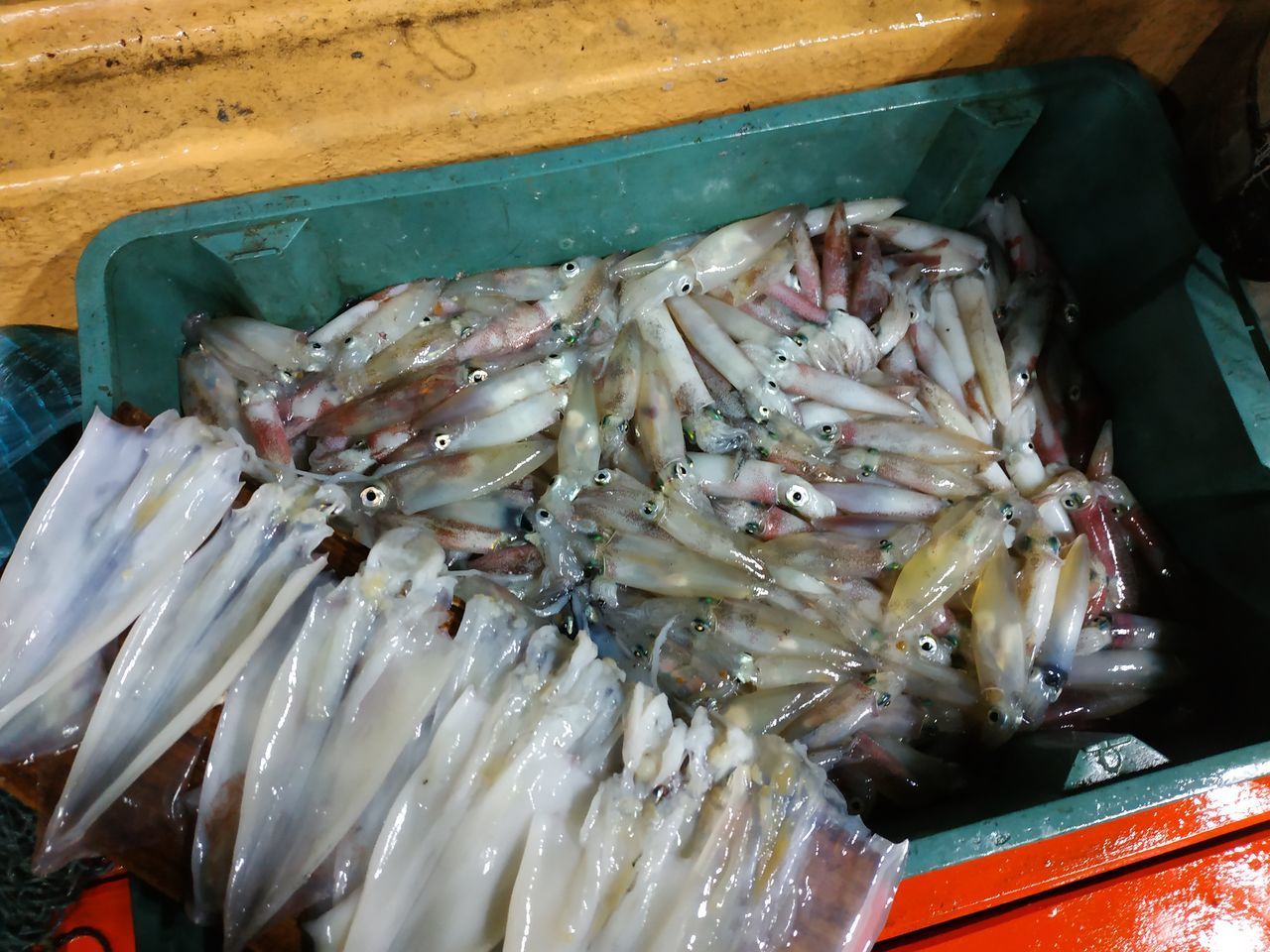 CLOSE-UP OF FISH FOR SALE IN MARKET