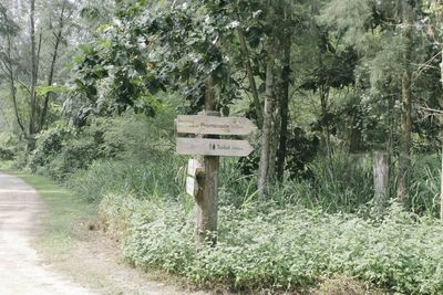 Information sign on tree