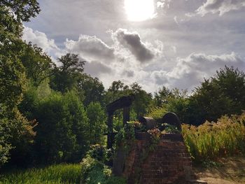 Panoramic shot of trees against sky